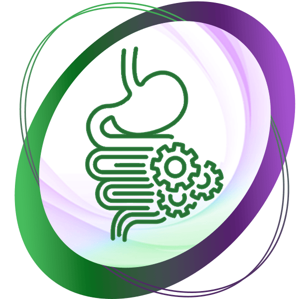 اصلاح مشکلات گوارشی
